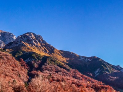 Battaglione Alpini Saluzzo. Prima e dopo Caporetto – Parte 3 di&nbsp;3