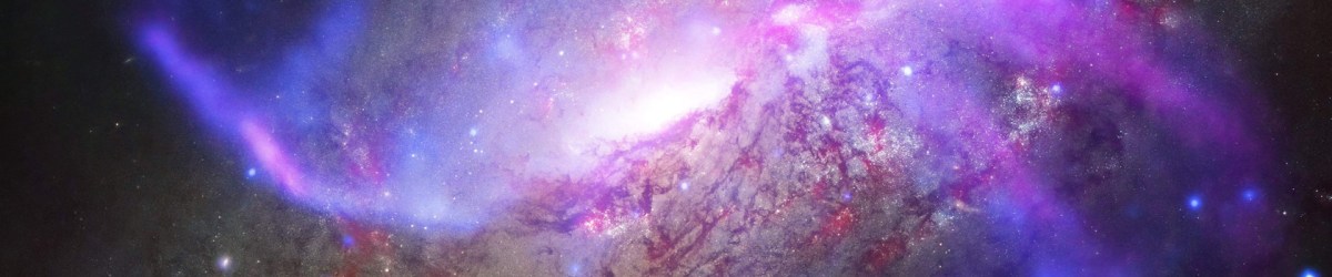 Che cos’è? Parte 1 di&nbsp;2