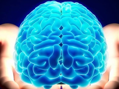 CERVELLO E MENTE. Un dibattito interdisciplinare