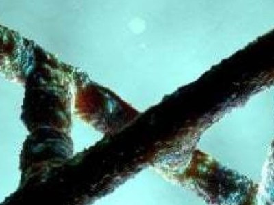 VIVERE  NELLA  SCUOLA – Parte 2 di&nbsp;5