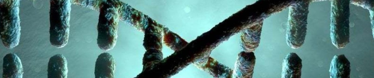 VIVERE  NELLA  SCUOLA – Parte 2 di&nbsp;5